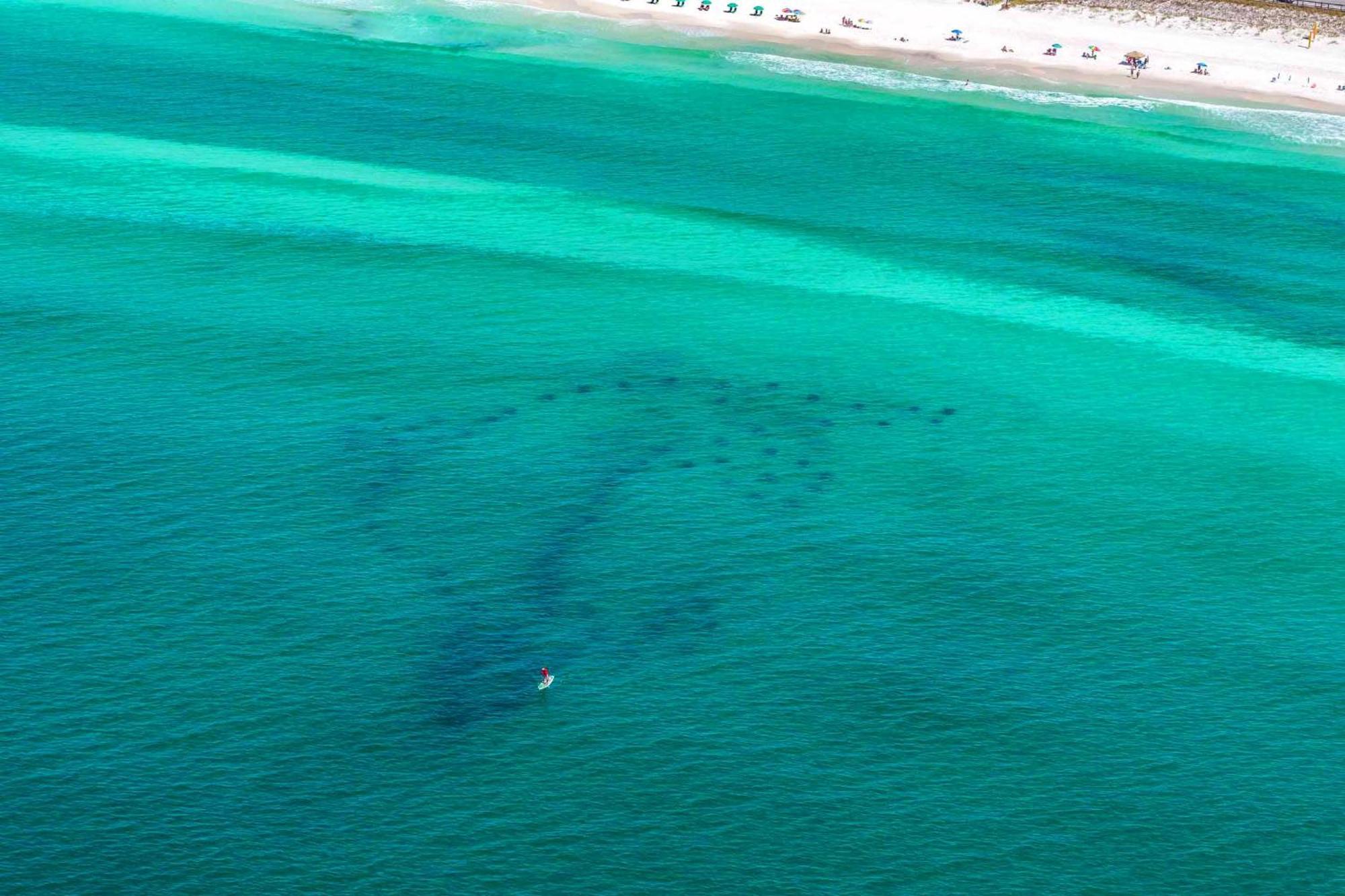 Ariel Dunes I 2207 Destin Zewnętrze zdjęcie